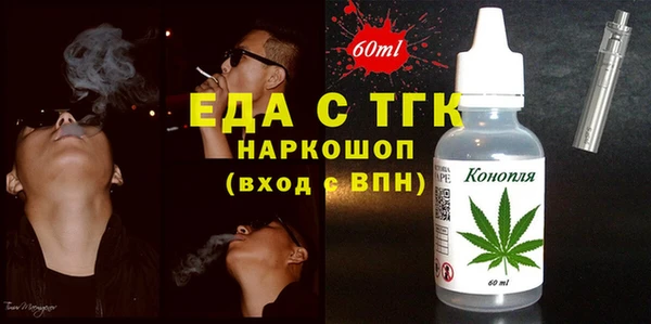 мдпв Бородино