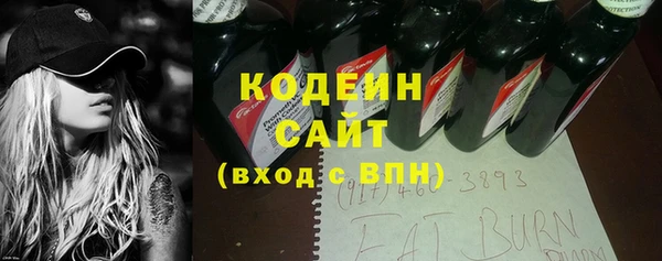 мдпв Бородино