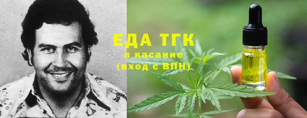 мдпв Бородино