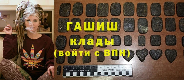 мдпв Бородино