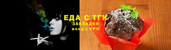 мдпв Бородино