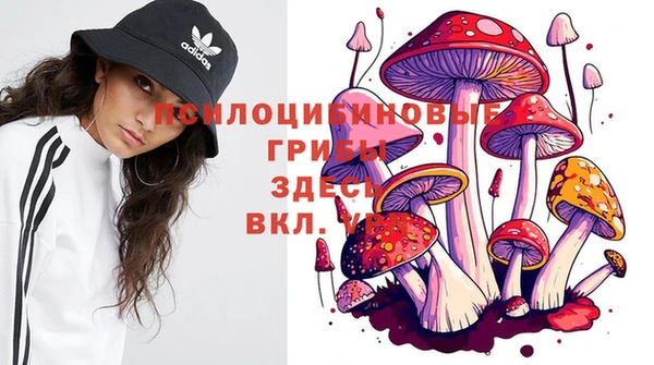 мдпв Бородино