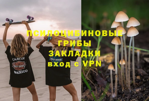 гидропоника Бугульма