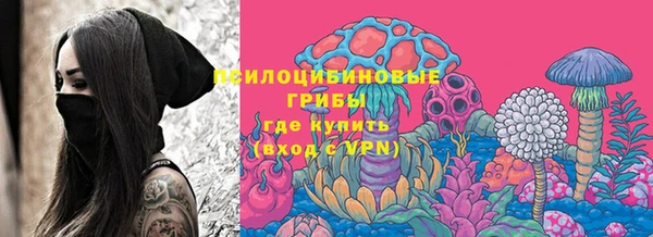 мдпв Бородино