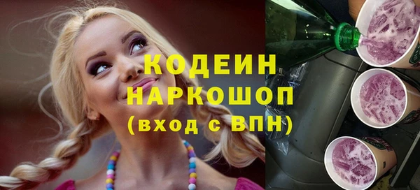мдпв Бородино