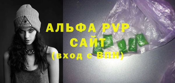 мдпв Бородино