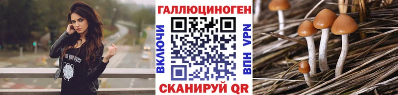 Галлюциногенные грибы Psilocybine cubensis  Ковылкино 